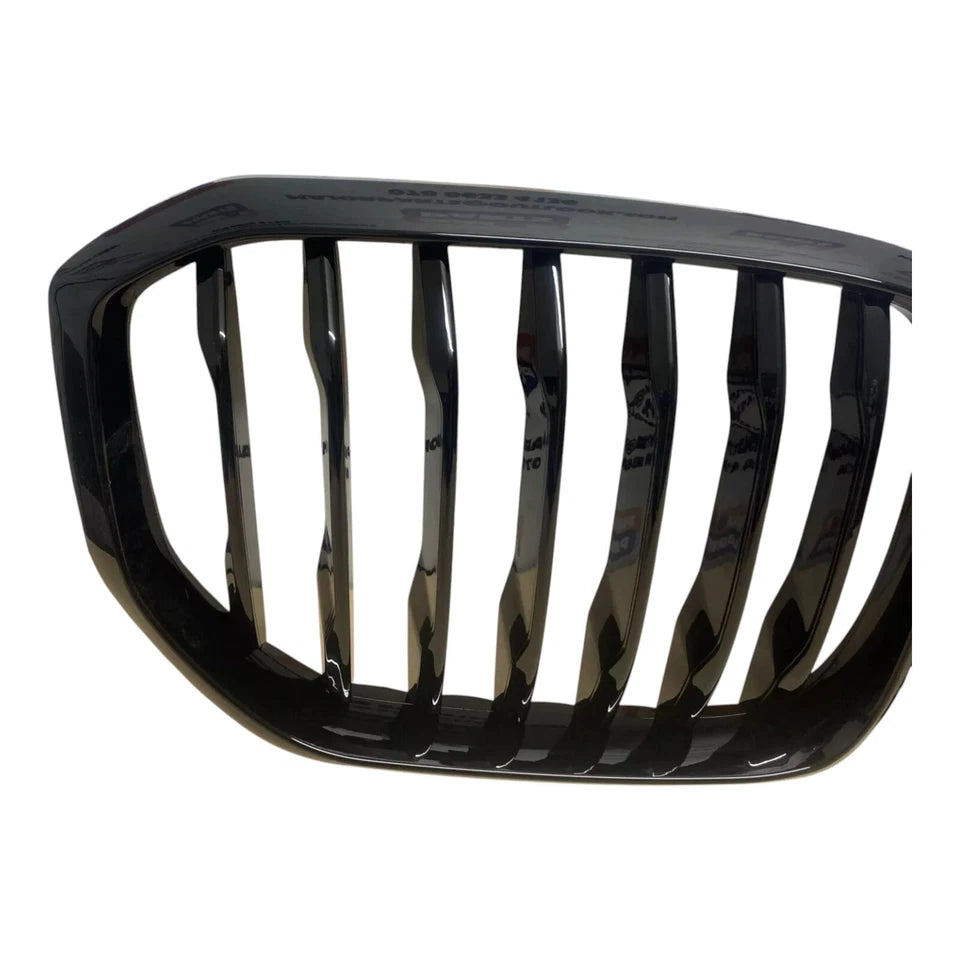 BMW X5 G05 2019 On Radiator Grille w/ Night Vision