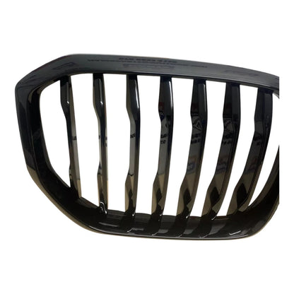 BMW X5 G05 2019 On Radiator Grille w/ Night Vision