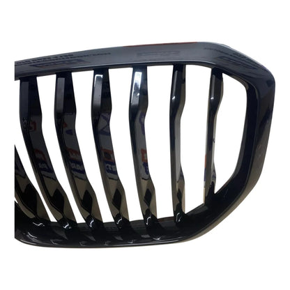 BMW X5 G05 2019 On Radiator Grille w/ Night Vision