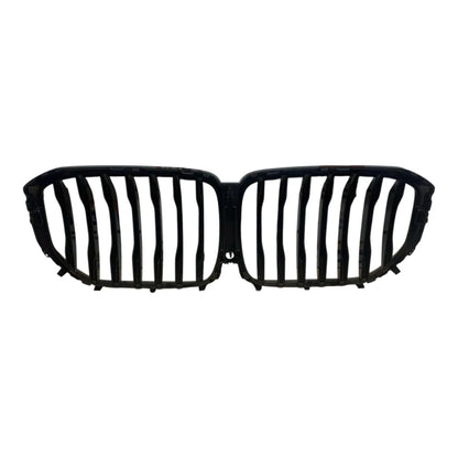 BMW X5 G05 2019 On Radiator Grille w/ Night Vision